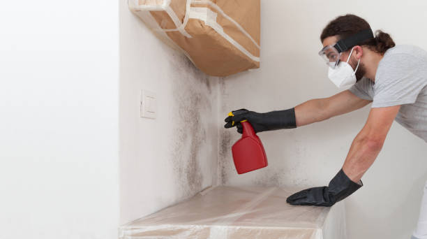 Professional Commercial Mold Remediation technician working in Graham, TX