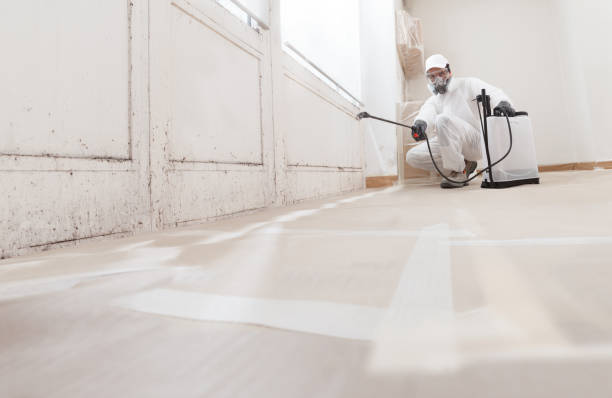 24/7 Emergency Commercial Mold Remediation experts in Graham, TX
